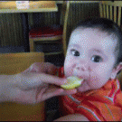 Baby eats lemon